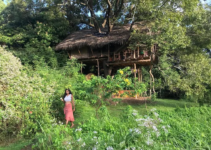 Back Of Beyond - Wild Haven Villa Sigiriya